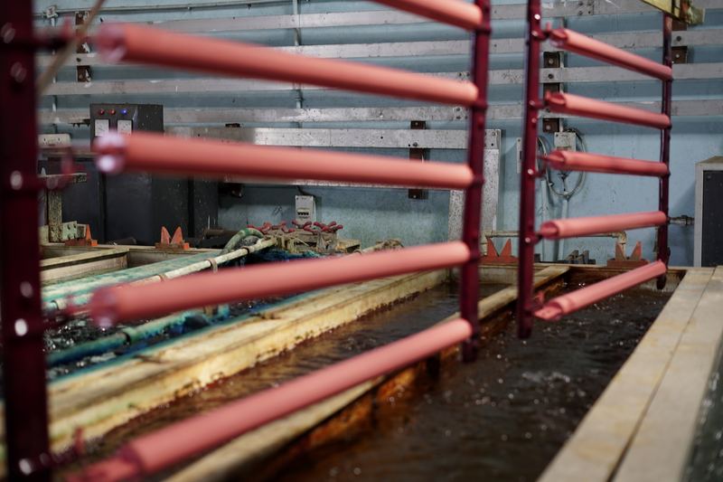 Copper-bonding line at the Ashima Electrotech factory: rods on racks above the plating tank