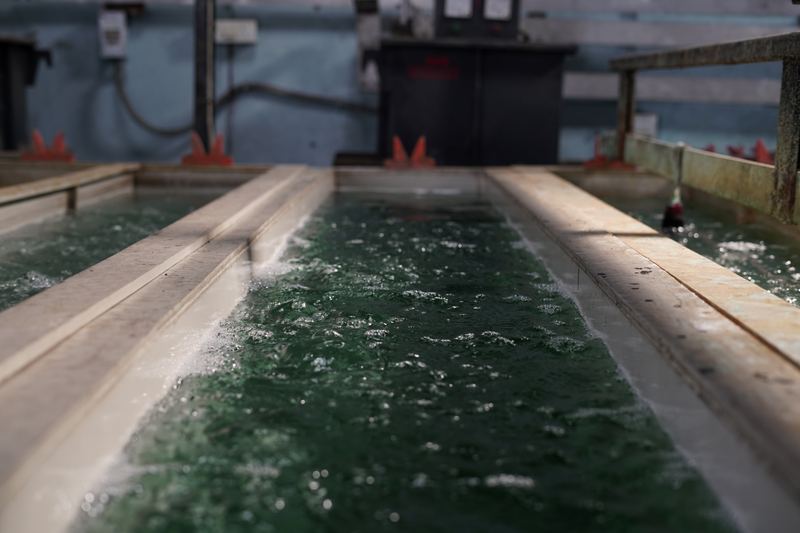 Rods in the plating tank